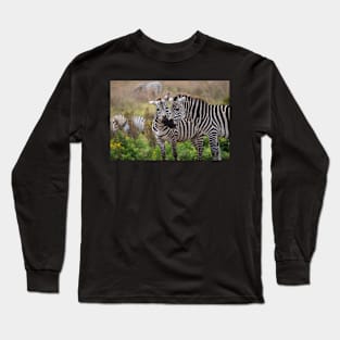 Zebra Affection: Ngorongoro Crater, Tanzania Long Sleeve T-Shirt